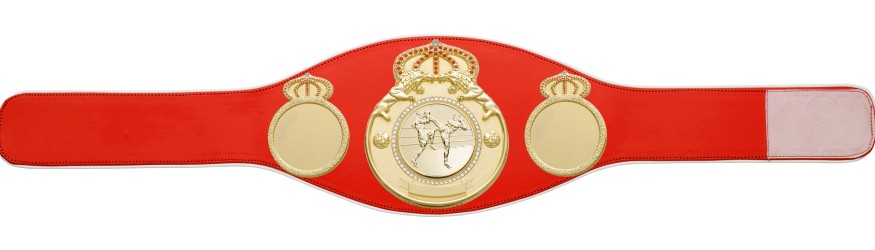 THAI BOXING CHAMPIONSHIP BELT PROLION/G/TBOG - AVAILABLE IN 6+ COLOURS THAI BOXING CHAMPIONSHIP BELT PROLION/G/TBOG - AVAILABLE IN 6+ COLOURS